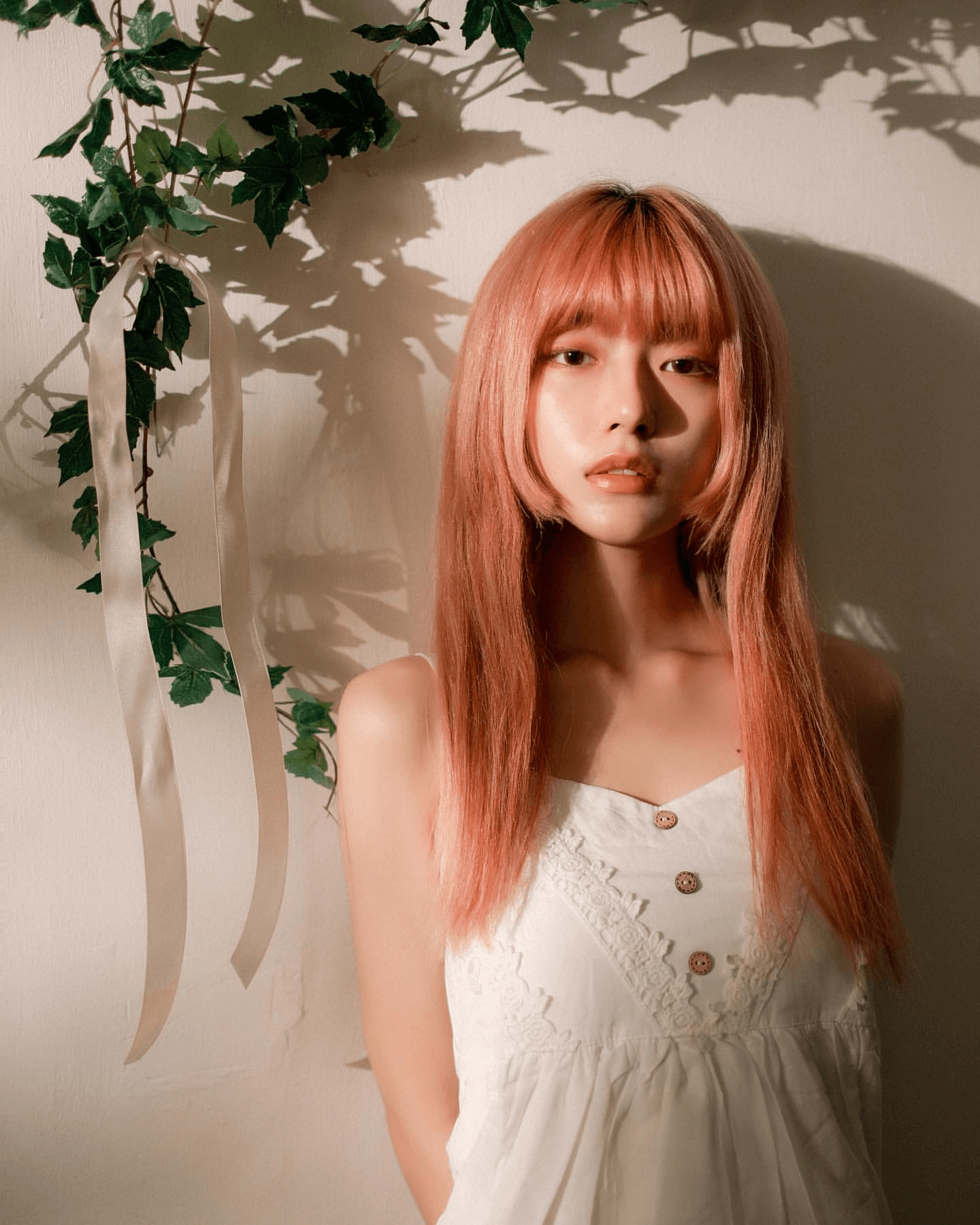 染髮、特殊色 Chris 莫藍迪珊瑚菊